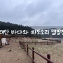 ㅣ태안 바다캠핑장ㅣ애견동반 캠핑장 추천 바다와파도소리 캠핑장