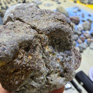 [속보] 공룡화석이 다이아몬드가 되는 과정, 또는 희귀보석으로 바뀌는 과정을 자세하게 보여주는 경도가 매우 높은 돌화석 발견. 가설이 아닌 실제 과학적 증거가 이번에 발견되었습니다