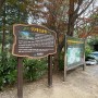 [2024 서구 SNS 서포터즈]부산 공원 산책로 중앙공원 편백숲(옛 대신공원)
