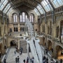 [런던 자연사 박물관(Natural History Museum London)/런던여행] 아이들이 체험할 수 있게 구성된 박물관