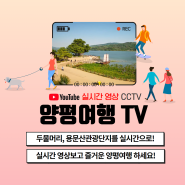 양평 두물머리, 용문산관광지 양평여행 TV 실시간 LIVE 영상