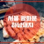 서울 광화문 고기집 “하남돼지”