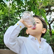 생수추천 몽베스트 간편하게 휴대하며 수분충전 생수500ml