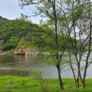 대전 근교 가볼만한곳 금산 월영산 출렁다리 옆 [기러기공원]