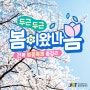 🌸봄이왔나봄 - 전북특별자치도 벚꽃축제 총정리🌸