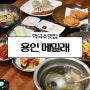 용인 한국민속촌 맛집 신갈 외식타운 주변 들기름 막국수