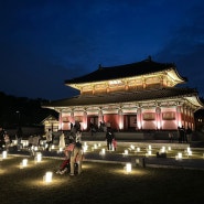2024 김해가야테마파크 빛축제 빛의왕국 가야, 야간개장 다녀왔어요!