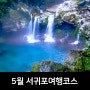 5월 서귀포 여행 코스 : 원앙폭포,정방폭포,천지연폭포,소정방폭포,외돌개