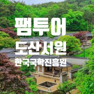 팸투어로 다녀온 안동 도산서원과 안동 한국국학진흥원 그리고 오천군자마을 이야기