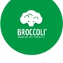 브로콜리 브레인아트의 브레인업 72 뇌미술 프로그램