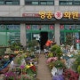 [정원일기2] 영종꽃화원 / 영종도에서 꽃살땐?