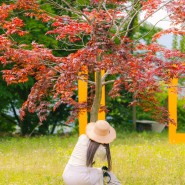 [사진여행]📮마산 등나무, 민들레명소 "마산현대미술관"
