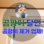 서울 곰팡이 제거 잘 하는 업체 곰팡이 달인 시공 사례