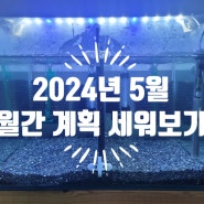[물 생활, 옥상 텃밭] 2024년 다섯 번째 월간 계획/ 5월 한 달 월간 계획 세워보기