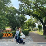 [과천] 서울대공원 테마 가든 어린이 동물원 (33개월 아기의 토끼 사랑)