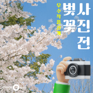 [당첨자 발표] 벚꽃 사진전 이벤트 우수작품 공개