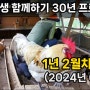 프로젝트 1년 2월차 (2024년 04월) 결산