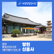 영천 통일신라시대 3층석탑이 있는 신흥사