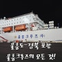 포항-울릉도 여행 울릉크루즈 시간 바이크 선적 비용 6인실 가격