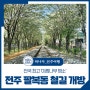 전국 최고 ‘이팝나무 명소’ 전주 팔복동 철길 개방