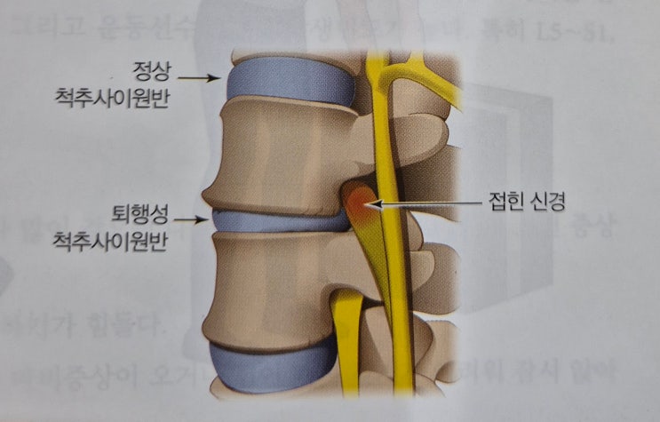 : 네이버 블로그