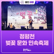 [용인여행] 정평천 벚꽃 문화 민속축제 현장 속으로!