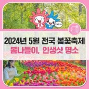 5월 전국 꽃축제 추천! 에버랜드 튤립축제 페어리타운 등 (feat. 봄나들이, 인생샷 명소)