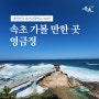 "속초가볼만한곳 영금정, 대한민국 야간관광명소 100선"