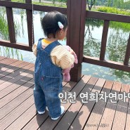 인천 아이와 피크닉 장소, 청라 연희자연마당 생태공원 아기랑 갈만한 곳(ft. 주차)