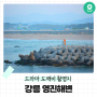 [강릉 가볼만한곳] 드라마 도깨비 촬영지 강릉 영진해변