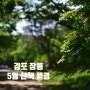 김포 장릉 5월 가볼만한곳 산책하기 좋은 서울 근교 힐링 스팟