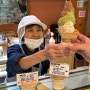 후쿠오카 디저트 맛집 21년 전통 젤라또 '라콜또'