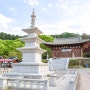서울근교 절 가평 백련사 축령산 잣나무숲 속 작은 경기도 사찰