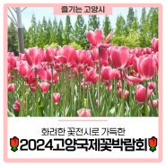 [🌹2024고양국제꽃박람회] 화려한 꽃전시로 가득한 2024 고양 국제 꽃박람회