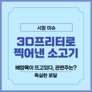 배양육 관련주 뜻 특징, 3D 프린터로 소고기 찍어낸다?