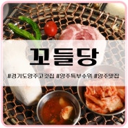 경기도 양주 고깃집 특수부위 맛집 꼬들당