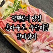 평택참치 맛집 한라참치 (혼마구로 참다랑어 골드 코스 후기)