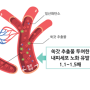 한국식품연구원 “쑥갓이 혈관 노화 예방에 도움”