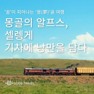 [몽골 여행] 몽골의 알프스 '셀렝게'로 기차를 타고 떠나다