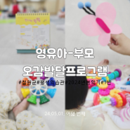 철원군 평생학습관 영유아-부모 오감발달프로그램 (1반) 진나비 훨훨