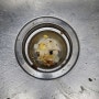 설치하고 후회했었던 가정용 미생물 음식물처리기 휴렉 1년 사용 솔직한 장단점 후기