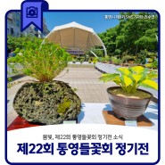 봄빛, 제22회 통영들꽃회 정기전 소식
