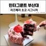 부산 케이크 핫플 카페, 힌터그룬트 부산대 feat.라즈베리 초코 시그니처 케이크
