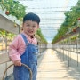 창원 아이랑 딸기농장 주남농부더하기 3번째방문
