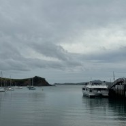 뉴질랜드 오클랜드 :: 와이헤케섬 트래킹 Waiheke Island