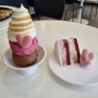 비건 아이스크림 한성대입구 카페 아케미에 다녀왔어요 :)
