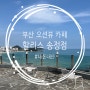 [부산 송정] 할리스 부산송정DI점 한적한 오션뷰카페 추천!♥