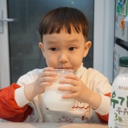 돌아기 우유 추천 파스퇴르 유기농우유 (투게더유진상사 정기구독)