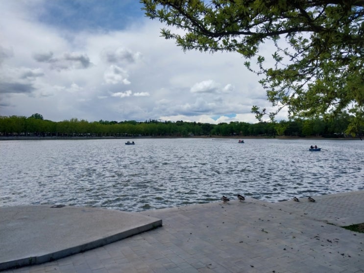 5월 1일 카드 사고, casa de campo