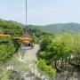 서울대공원 동물원 리프트 코끼리열차 타고 즐기기, 패키지 입장권 정보